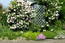 DSCF1736.webp
