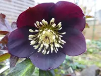 P1280129.webp