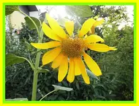013.webp