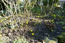 DSCF2596.webp