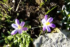 DSCF2598.webp