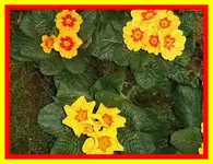 058.webp
