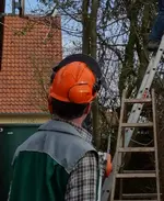 orange (9).webp