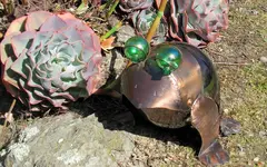 Copy of IMG_0488v.webp