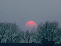 100_5768.webp