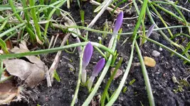 K800_P1160291.webp