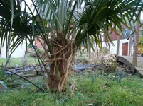 046.webp