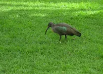 IMG_4015.webp