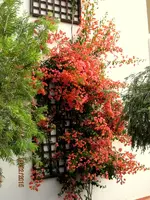 IMG_4004.webp