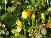 P1050379.webp P1050379.webp