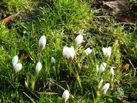 P1050380.webp P1050380.webp