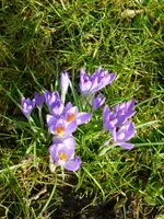 P1050385.webp P1050385.webp