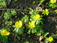 P1050386.webp P1050386.webp