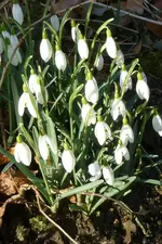 P1050389.webp P1050389.webp