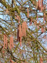 P1050393.webp P1050393.webp