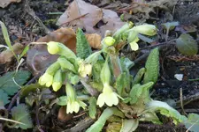 P1050399.webp P1050399.webp