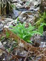 P1050402.webp P1050402.webp