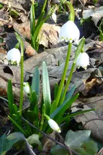 P1050404.webp P1050404.webp