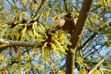 P1050409.webp P1050409.webp