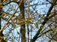 P1050410.webp