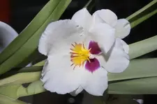 IMG03006.webp