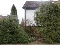 IMG_2851.webp IMG_2851.webp