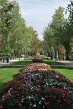 rosa.webp