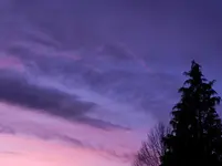 DSCN5648.webp