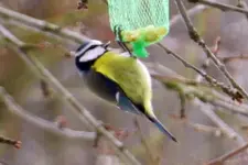 DSCN8401.webp