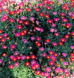 IMG_3897.webp