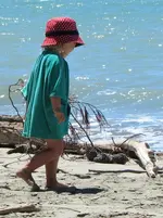 Copy of IMG_4313v.webp