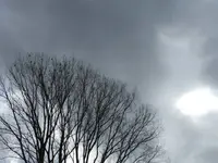 P1280208.webp