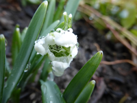 P1280137.webp