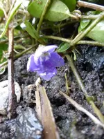 P1280146.webp