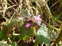 P1280161.webp