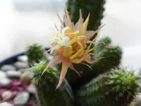 P1280219.webp
