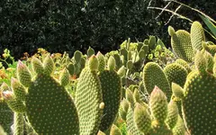 IMG_5945v.webp