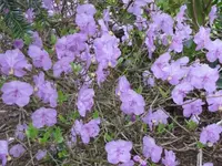 039.webp