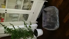 20150223_172531.jpg