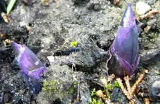 DSCN6976.webp