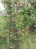 IMG_2396.jpg