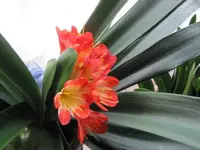 001.webp