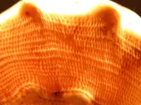 DSCN7153.webp