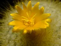 003.webp