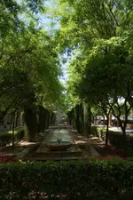 A_DSC03568.webp