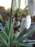 P1280280.webp