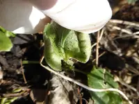 P1280361.webp