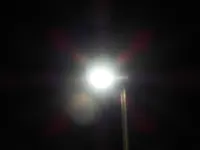 P1280068.webp