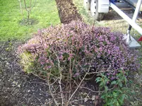 100_1659.webp 100_1659.webp