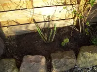 100_1664.webp 100_1664.webp